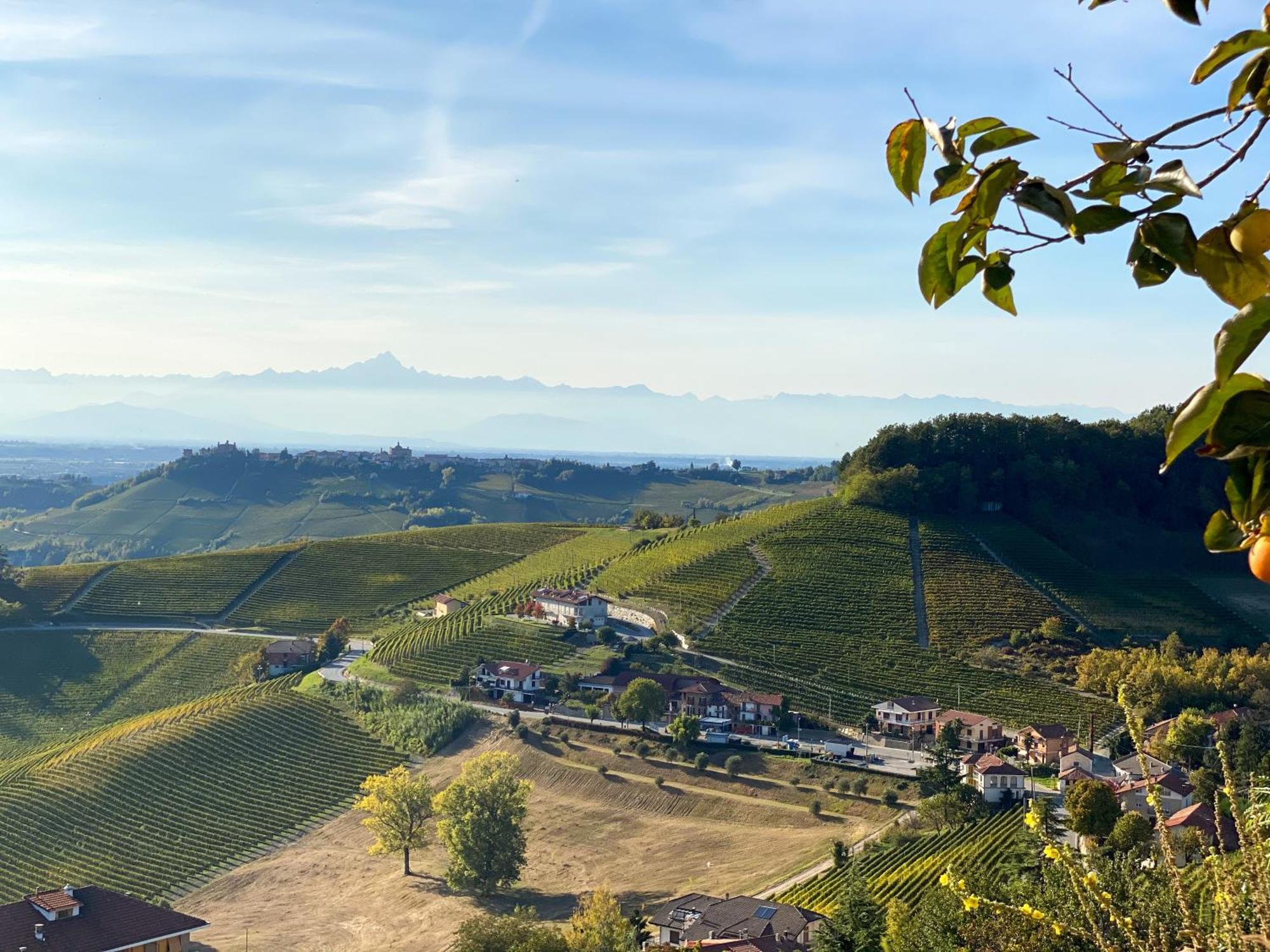 Just Langhe Casa Nebbiolo Villa Novello Buitenkant foto